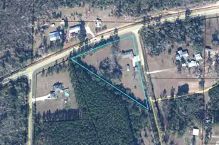 3395 Ontario Rd, Marianna, FL 32448 - Photo 72