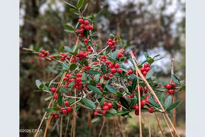 4303 NW Twin Ponds Road, Altha, FL 32421 - Photo 16