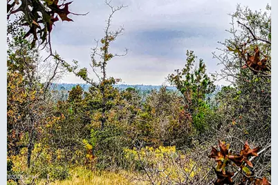 4303 NW Twin Ponds Road, Altha, FL 32421 - Photo 18