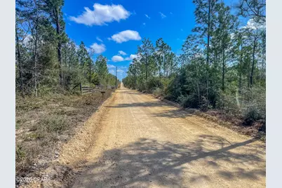 4303 NW Twin Ponds Road, Altha, FL 32421 - Photo 8