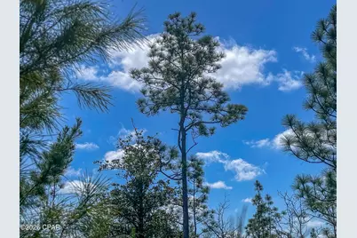 4303 NW Twin Ponds Road, Altha, FL 32421 - Photo 12