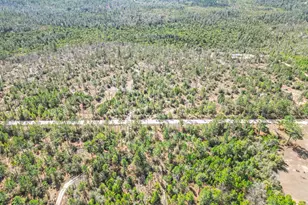 4303 NW Twin Ponds Rd, Altha, FL 32421 - Photo 1