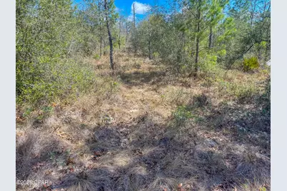 4303 NW Twin Ponds Road, Altha, FL 32421 - Photo 10