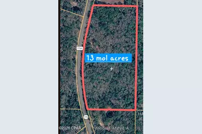 1285 Hwy 179A, Westville, FL 32464 - Photo 4