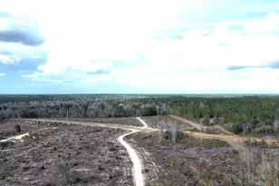 15089 NE Granny Annie Rd, Hosford, FL 32334 - Photo 22