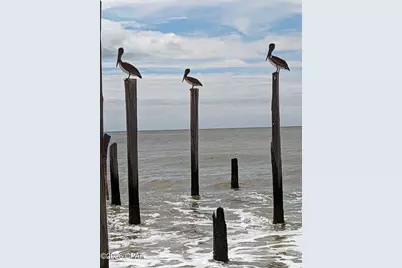 2276 Indian Pass Road, Port Saint Joe, FL 32456 - Photo 14