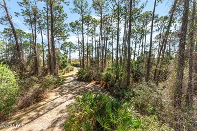 961 Cape San Blas Road, Cape San Blas, FL 32456 - Photo 70