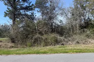 00 New Salem Rd, Marianna, FL 32448 - Photo 1