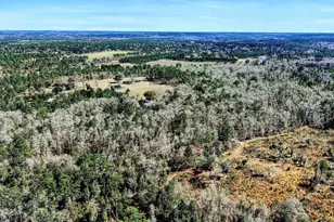 2618 Hard Labor Rd, Chipley, FL 32428 - Photo 24