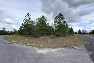 Xxx Noah Ct, Chipley, FL 32428 - Photo 1