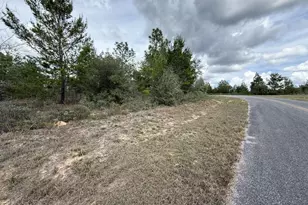 Xxx Fairbanks Dr, Chipley, FL 32428 - Photo 1