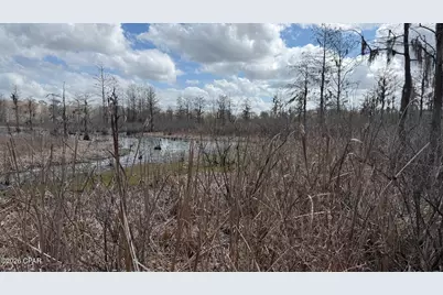 000 Neel Road, Grand Ridge, FL 32442 - Photo 1