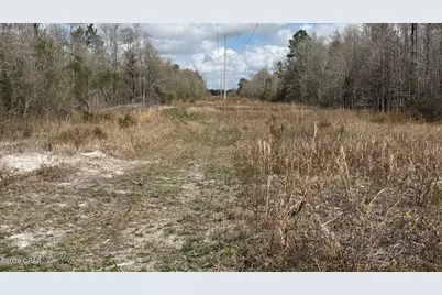 000 Neel Road, Grand Ridge, FL 32442 - Photo 4