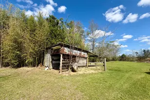 5352 Rocky Creek Rd, Marianna, FL 32448 - Photo 36