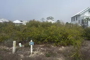 Lot 59 Loggerhead Ln, Cape San Blas, FL 32456 - Photo 1