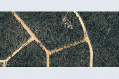 Lot 7 Trenton Avenue, Alford, FL 32420 - Photo 2