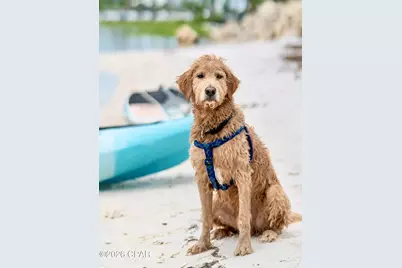 209 16th Street, Port Saint Joe, FL 32456 - Photo 46