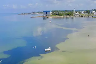 209 Sixteenth St, Port Saint Joe, FL 32456 - Photo 44