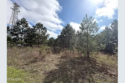 3956 Old Cottondale Road, Marianna, FL 32448 - Photo 90