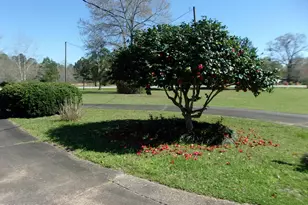 1235 N Waukesha St, Bonifay, FL 32425 - Photo 36