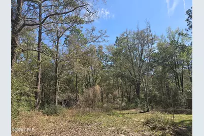 61 Summer Lane, Crawfordville, FL 32327 - Photo 32