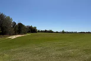 6435 Butler Rd, Grand Ridge, FL 32442 - Photo 34