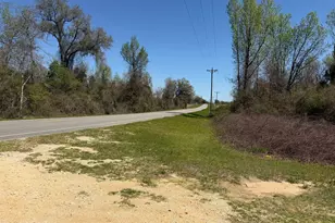 6435 Butler Rd, Grand Ridge, FL 32442 - Photo 40