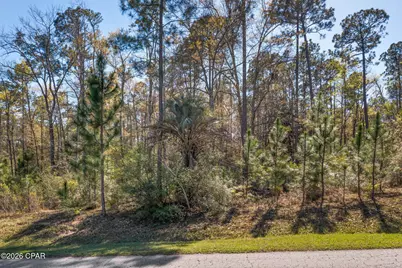 Xxx Pine Bluff Drive, Chipley, FL 32428 - Photo 12