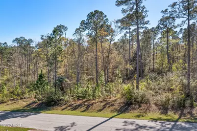 Xxx Pine Bluff Drive, Chipley, FL 32428 - Photo 1