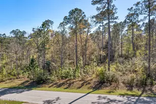 Xxx Pine Bluff Dr, Chipley, FL 32428 - Photo 1