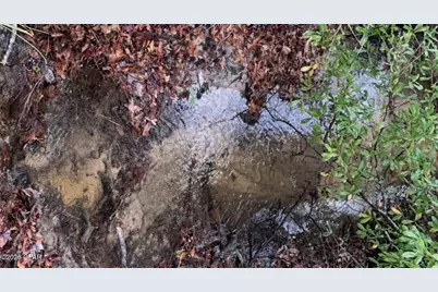 2984 Goodman Hill Road, Chipley, FL 32428 - Photo 2