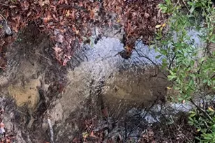 2984 Goodman Hill Rd, Chipley, FL 32428 - Photo 2