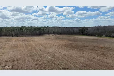 6775 U.S. Hwy 90, Grand Ridge, FL 32442 - Photo 58