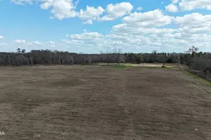 6775 U S Hwy 90, Grand Ridge, FL 32442 - Photo 64