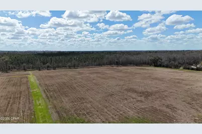 6775 U.S. Hwy 90, Grand Ridge, FL 32442 - Photo 18