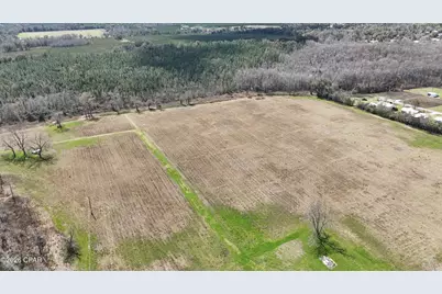 6775 U.S. Hwy 90, Grand Ridge, FL 32442 - Photo 4