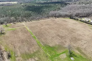 6775 U S Hwy 90, Grand Ridge, FL 32442 - Photo 4