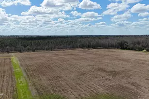 6775 U S Hwy 90, Grand Ridge, FL 32442 - Photo 2