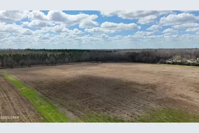 6775 U.S. Hwy 90, Grand Ridge, FL 32442 - Photo 50