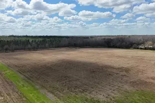 6775 U S Hwy 90, Grand Ridge, FL 32442 - Photo 50