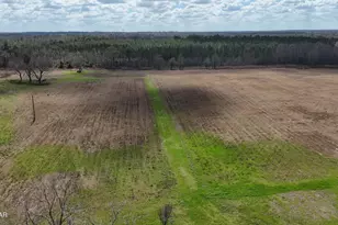 6775 U S Hwy 90, Grand Ridge, FL 32442 - Photo 48