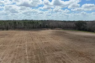 6775 U S Hwy 90, Grand Ridge, FL 32442 - Photo 58