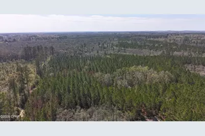 Tract6416 N Brock Road #N40, Caryville, FL 32427 - Photo 4