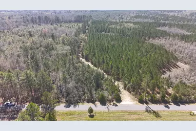 Tract6416 N Brock Road #N40, Caryville, FL 32427 - Photo 2