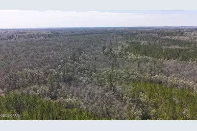 Tract6416 N Brock Road #N40, Caryville, FL 32427 - Photo 6