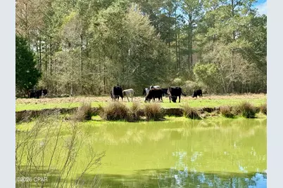 4906 Galloway Road, Graceville, FL 32440 - Photo 64