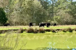 4906 Galloway Rd, Graceville, FL 32440 - Photo 64