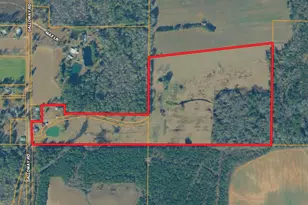 4906 Galloway Rd, Graceville, FL 32440 - Photo 46