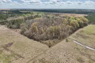 4906 Galloway Rd, Graceville, FL 32440 - Photo 34