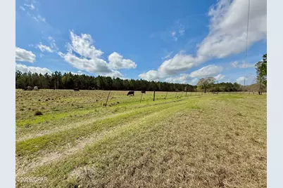 4906 Galloway Road, Graceville, FL 32440 - Photo 76